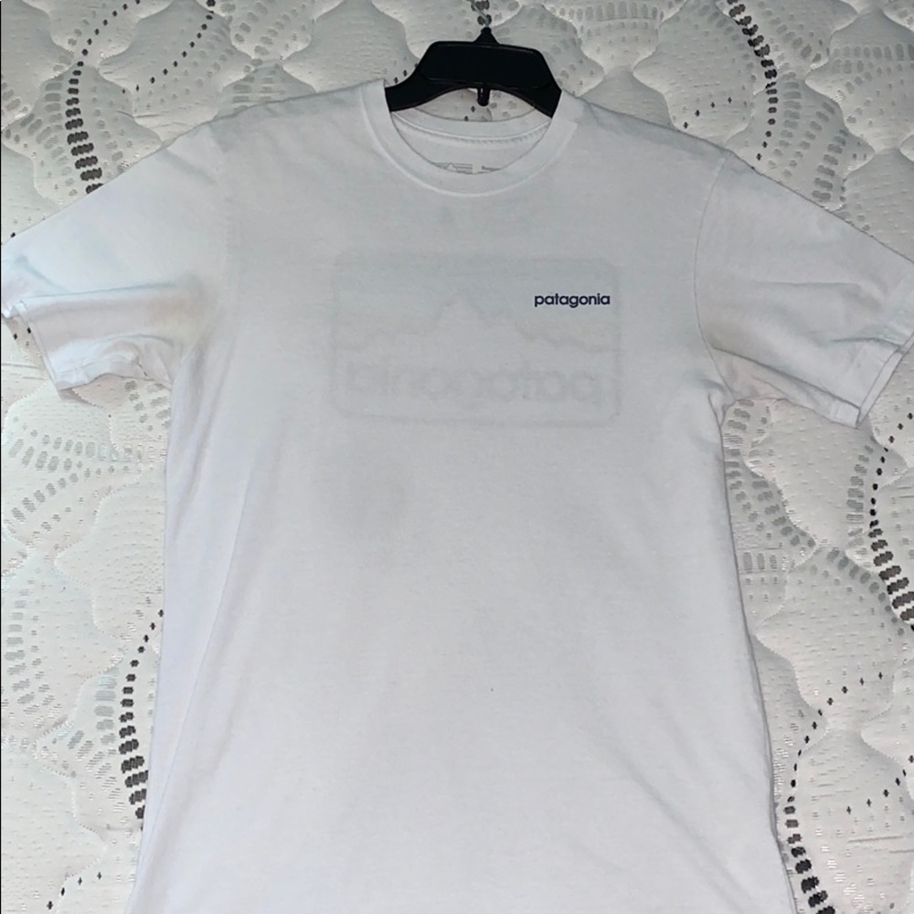Patagonia Shirt